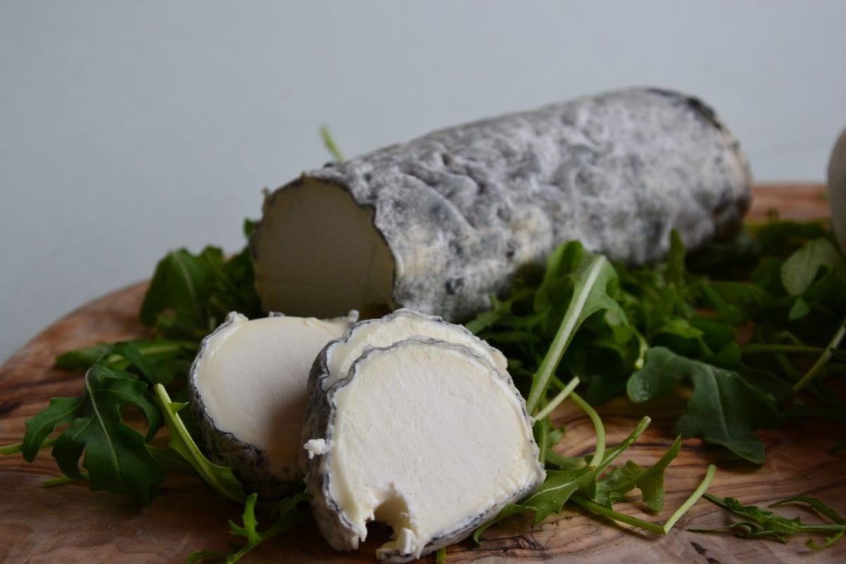 CHEVRE CENDRE STE MAURE